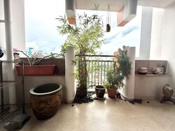 Blk 232 Compassvale Plains (Sengkang), HDB 5 Rooms #574467391